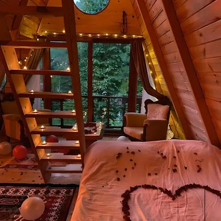 Forest Uzungol 3*