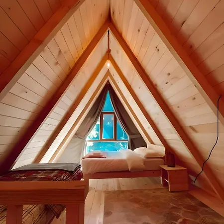 Aparthotel Forest 3*