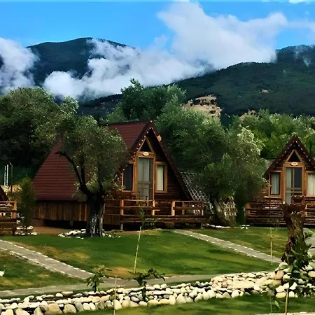 Forest Uzungol 3*